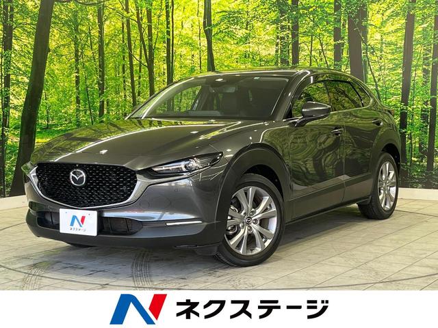 マツダ ＣＸ－３０ ２０Ｓ　Ｌパッケージ　マツダコネクトナビ　全周囲カメラ　ＢＯＳＥサウンド　衝突軽減装置　禁煙　レーダークルーズ　ブラインドスポットモニター　電動リアゲート　シートヒーター　パワーシート　ＥＴＣ　スマートキー　ＬＥＤヘッド