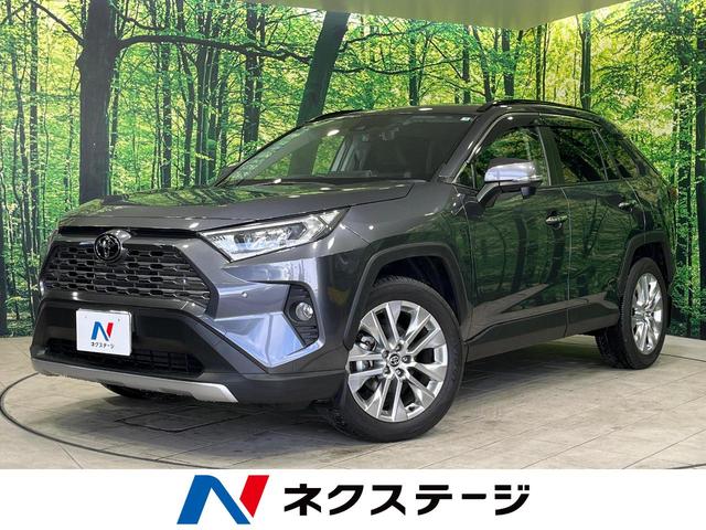 トヨタ ＲＡＶ４ Ｇ　Ｚパッケージ　４ＷＤ　純正９型ナビ　レーダークルーズ　衝突軽減　デジタルインナーミラー　バックカメラ　Ｂｌｕｅｔｏｏｔｈ　ＥＴＣ　パワーシート　シートヒーター　ＬＥＤヘッド　ドラレコ　ステアリングヒーター　ＣＤ再生