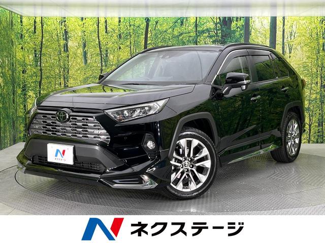 ＲＡＶ４ Ｇ　Ｚパッケージ　モデリスタエアロ　純正９型ナビ　衝突軽減システム　レーダークルーズコントロール　デジタルインナーミラー　バックカメラ　ＥＴＣ　パワーバックドア　フルセグＴＶ　Ｂｌｕｅｔｏｏｔｈ再生　シートヒーター