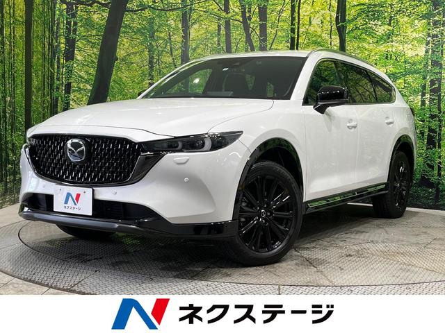 マツダ ＣＸ－８ ＸＤ　スポーツアピアランス　後期　４ＷＤ　１０．２５型コネクトナビ　ＢＯＳＥ　３６０°モニター　ルーフレール　ハンズフリーパワーバックドア　革シート　シートベンチレーション　シートヒーター　パワーシート　マルチスピードメーター