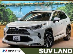 トヨタ　ＲＡＶ４　ハイブリッドＧ　モデリスタエアロ　モデリスタ１９インチアルミ　レーダークルーズ