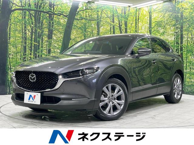 ＣＸ－３０　岩手県 スマートブレーキサポート　禁煙車　マツダコネクトナビ　全周囲カメラ