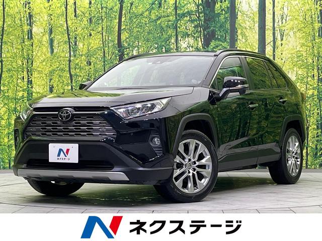 トヨタ ＲＡＶ４ Ｇ　Ｚパッケージ　４ＷＤ　純正９型ナビ　デジタルインナーミラー　パワーバックドア　シートヒーター　ブラインドスポットモニター　レーダークルーズ　セーフティセンス　バックカメラ　ＬＥＤヘッド　純正１９インチアルミ　ＥＴＣ