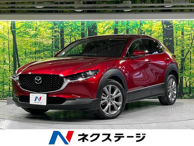 マツダ ＣＸ－３０ ２０Ｓ　プロアクティブ　ツーリングセレクション　スマートブレーキサポート　レーダークルーズ　禁煙車　８．８インチマツダコネクトナビ　バックカメラ　Ｂｌｕｅｔｏｏｔｈ接続　フルセグ　ＥＴＣ　メモリーシート　シートヒーター　パワーバックドア　ドラレコ