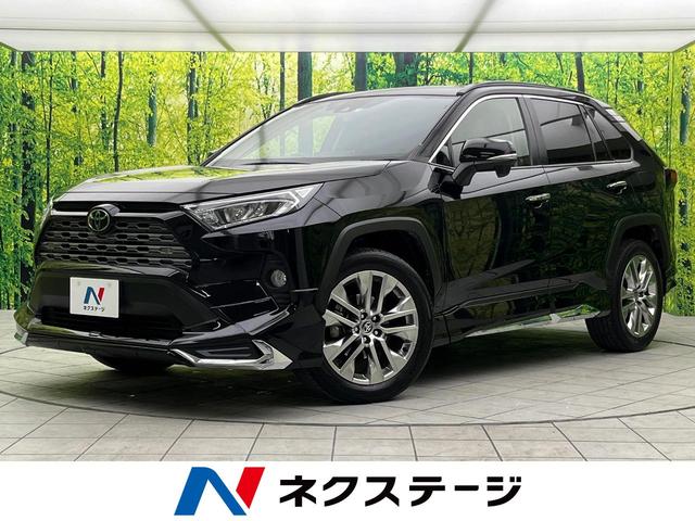 トヨタ ＲＡＶ４ Ｇ　Ｚパッケージ　４ＷＤ　モデリスタエアロ　ＢＩＧ－Ｘ９インチナビ　バックカメラ　トヨタセーフティセンス　ＬＥＤヘッドライト　ブラインドスポットモニター　パワーバックドア　純正１９インチアルミ　ＥＴＣ