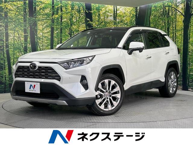 トヨタ ＲＡＶ４ Ｇ　Ｚパッケージ　パノラマムーンルーフ　純正９型ナビ