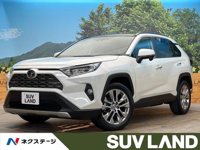 トヨタ ＲＡＶ４ Ｇ　Ｚパッケージ　サンルーフ　ＳＤナビ　バックカメラ　トヨタセーフティセンス　レーダークルーズ　電動リヤゲート　メモリー付パワーシート　シートヒーター　クリアランスソナー　禁煙車　Ｂｌｕｅｔｏｏｔｈ　フルセグ