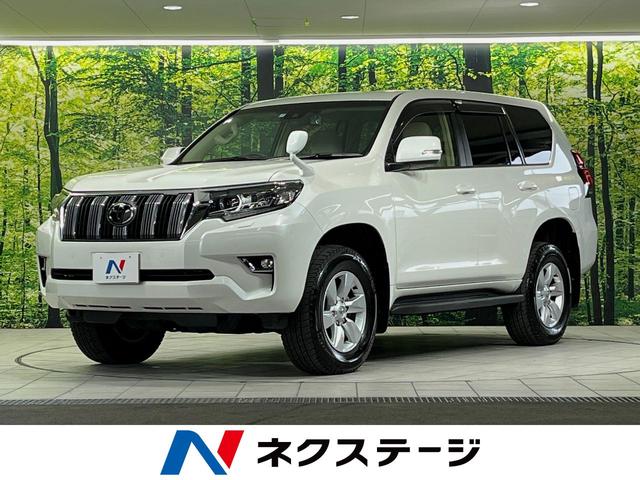 トヨタ ランドクルーザープラド ＴＸ　純正ＳＤナビ　禁煙車　サンルーフ