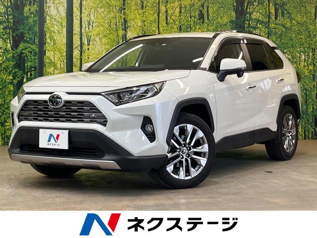 ＲＡＶ４ Ｇ　Ｚパッケージ　禁煙車　純正９型ナビ　レーダーズコントロール　デジタルインナーミラー　トヨタセーフティセンス　クリアランスソナー　パワーバックドア　フルセグ　バックカメラ　シートヒーター　ＥＴＣ（1枚目）