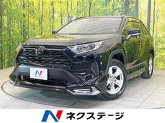 トヨタ　ＲＡＶ４　Ｘ　モデリスタ　ＳＤ８型ナビ　バックカメラ