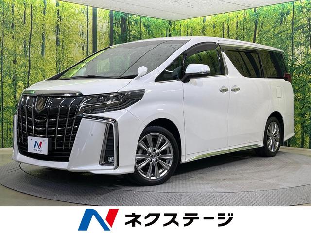 アルファード(トヨタ) ２．５Ｓ　タイプゴールド　純正９型ナビ　禁煙車　レーダークルーズコントロール　ＬＥＤヘッド　ＬＥＤフォグ 中古車画像