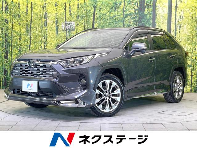 Ｇ　Ｚパッケージ　モデリスタ　純正９型ナビ　バックカメラ　ドラレコ　シートヒーター　禁煙車　レーダークルコン　ＢＳＭ　電動リアゲート　ＥＴＣ　デジタルインターミラー(1枚目)