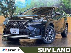 レクサス　ＮＸ　ＮＸ２００ｔ　Ｆスポーツ　純正ＳＤナビ　禁煙車