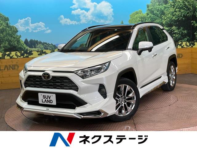 ＲＡＶ４ Ｇ　Ｚパッケージ　パノラマムーンルーフ　モデリスタエアロ　９型ナビ　禁煙車　衝突軽減装置　レーダークルーズ　デジタルインナーミラー　バックカメラ　ＥＴＣ　フルセグ　パワーバックドア　シートヒーター　合皮レザーシート（1枚目）