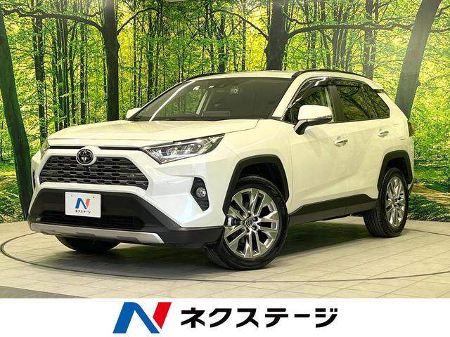 ＲＡＶ４(トヨタ) Ｇ　Ｚパッケージ　純正ディスプレイオーディオ　セーフティセンス　パノラミックビューモニター　ブラインドスポットモニター　メモリ機能付きパワーシート 中古車画像