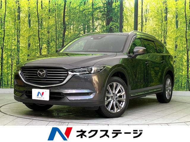 ＣＸ－８ ＸＤプロアクティブ　Ｓパッケージ　ＢＯＳＥサウンド　マツダコネクトナビ　衝突被害軽減装置　レーダークルコン　全周囲カメラ　禁煙車　シートヒーター　パワーシート　ＥＴＣ　クリアランスソナー　純正１９ＡＷ　オートエアコン　スマートキー（1枚目）