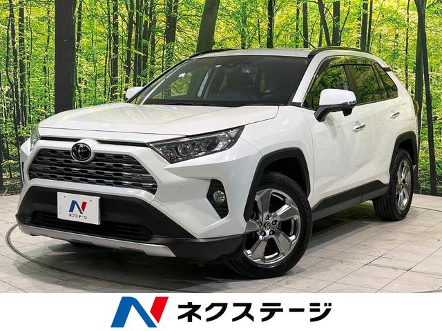 ＲＡＶ４ Ｇ　禁煙車　純正９型ナビ　フルセグ　ドライブレコーダー　シートヒーター　電動リアゲート　バックカメラ　合皮シート　クリアランスソナー　スマートキー　レーダークルーズ　ＬＥＤ　雹害車（1枚目）