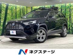 トヨタ　ＲＡＶ４　ハイブリッドＧ　４ＷＤ　禁煙車　純正９型ナビ