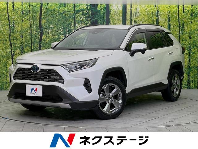 トヨタ ＲＡＶ４ ハイブリッドＧ　純正９型ナビ　フルセグ　バックカメラ　シートヒーター　ＥＴＣ　パワーシート　レーダークルーズ　オートハイビーム　トヨタセーフティセンス　ＬＥＤライト　クリアランスソナー　禁煙車　ドラレコ