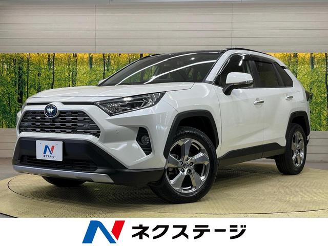 トヨタ ＲＡＶ４ ハイブリッドＧ　フルタイム４ＷＤ　サンルーフ　衝突軽減　純正９型ディスプレイオーディオ　ナビ機能付き　全周囲カメラ　ブラインドスポットモニター　パワーバックドア　ステアリングヒーター　ＥＴＣ２．０　ドライブレコーダー