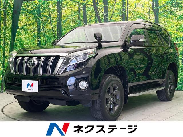 トヨタ ランドクルーザープラド ＴＸ　アルジェントクロス　４ＷＤ　純正ナビ　バックカメラ　ＬＥＤヘッド　オートライト　クリアランスソナー　スマートキー　ＥＴＣ　ドライブレコーダー　ルーフレール　レザー調シートカバー　クルーズコントロール