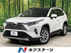 トヨタ　ＲＡＶ４　Ｇ　Ｚパッケージ　パノラマルーフ　４ＷＤ