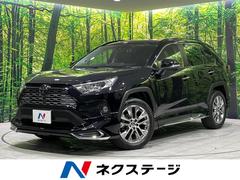 トヨタ　ＲＡＶ４　Ｇ　Ｚパッケージ　モデリスタエアロ　４ＷＤ