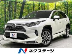 トヨタ　ＲＡＶ４　Ｇ　Ｚパッケージ　モデリスタエアロ　ＢＩＧＸ９型ナビ