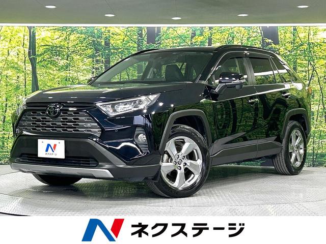 ＲＡＶ４(トヨタ) Ｇ　純正９型ナビ　トヨタセーフティセンス　禁煙車　バックカメラ　ＥＴＣ　Ｂｌｕｅｔｏｏｔｈ 中古車画像