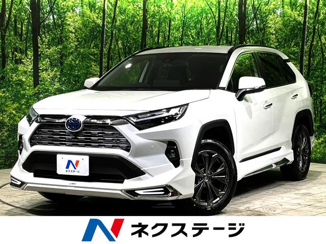 トヨタ ＲＡＶ４ ハイブリッドＧ　モデリスタエアロ　１０．５型ナビ　全周囲カメラ　ハンズフリーパワーバックドア　黒革シート　シートエアコン　パワーシート　純正１８インチアルミ　デジタルインナーミラー　ブラインドスポットモニター　禁煙車