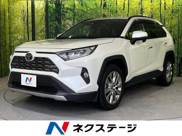 ＲＡＶ４ Ｇ　Ｚパッケージ　禁煙車　４ＷＤ　純正９型ナビ　セーフティセンス　レーダークルーズ　デジタルインナーミラー　ダイナミックトルクベクタリング　ダイヤル式マルチテレインセレクト　ダウンヒルアシスト　パワーバックドア　ＥＴＣ（1枚目）