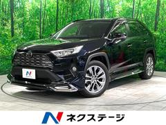 トヨタ　ＲＡＶ４　Ｇ　Ｚパッケージ　禁煙車　モデリスタ