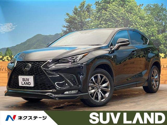 ＮＸ　鹿児島県 サンルーフ　メーカーナビ　セーフティシステムプラス　電動リヤゲート