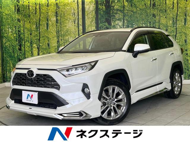 トヨタ ＲＡＶ４ Ｇ　Ｚパッケージ　モデリスタエアロ　パノラミックビューモニター　純正ディスプレイオーディオ　レーダークルーズコントロール　クリアランスソナー　ＬＥＤヘッドライト　オートマチックハイビーム　純正１９インチアルミホイール