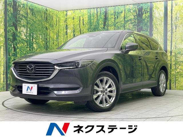 ＣＸ－８　栃木県 マツダコネクトナビ　禁煙車　スマートブレーキサポート　後席モニター