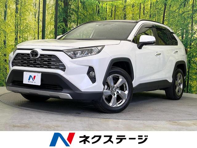 トヨタ ＲＡＶ４ Ｇ　パノラマルーフ　純正９型ディスプレイオーディオ　全周囲カメラ