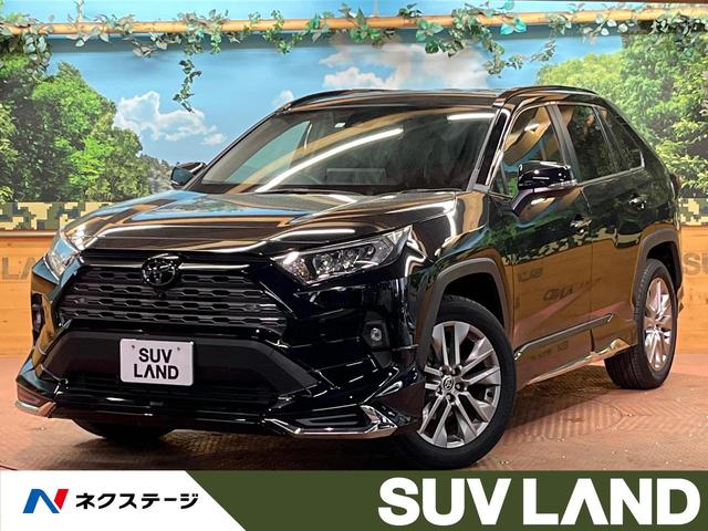 トヨタ ＲＡＶ４ Ｇ　Ｚパッケージ　モデリスタエアロ　純正ナビ