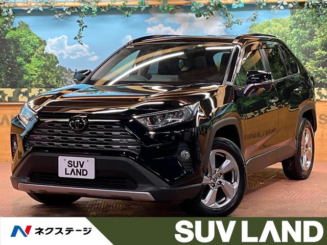 トヨタ ＲＡＶ４ Ｇ　ＢＩＧ－Ｘ９型ナビ　バックカメラ　トヨタセーフティーセンス　レーダクルーズ　ブラインドスポットモニター　ＬＥＤヘッド＆フォグ　オートハイビーム　合皮シート　シートヒーター　純正１９アルミ　ＥＴＣ