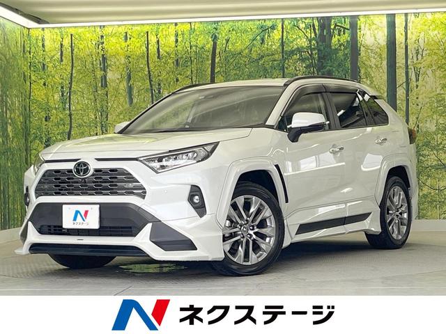 ＲＡＶ４(トヨタ) Ｇ　Ｚパッケージ　ＴＲＤエアロ　ＴＲＤマフラー　９型ディスプレイオーディオ　ナビキット　パノラミックビューモニター 中古車画像