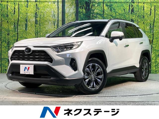 ＲＡＶ４ Ｘ　禁煙車　クルーズコントロール　衝突被害軽減システム　ディスプレイオーディオ　　ＬＥＤヘッドライト　ＥＴＣ　バックカメラ　フルセグ　Ｂｌｕｅｔｏｏｔｈ再生　ドライブレコーダー　スマートキー（1枚目）