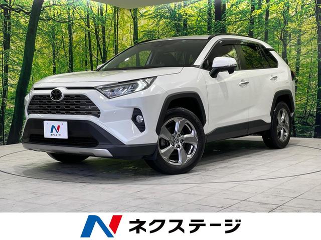 トヨタ ＲＡＶ４ Ｇ　４ＷＤ　禁煙車　純正ＳＤナビ