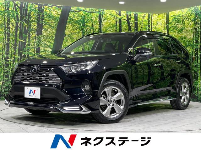 ＲＡＶ４　北海道 寒冷地仕様　ＳＤナビ　バックカメラ　パワーバックドア　ＬＥＤヘッドライト