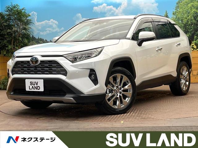 トヨタ ＲＡＶ４ Ｇ　Ｚパッケージ　１０型ディスプレイオーディオ　パノラミックビューモニター