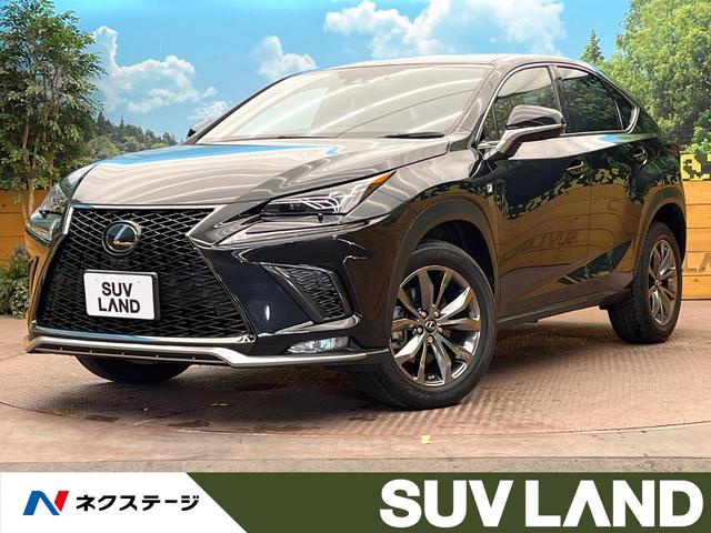 ＮＸ　大阪府 ６／３－６／９　期間限定【目玉車】