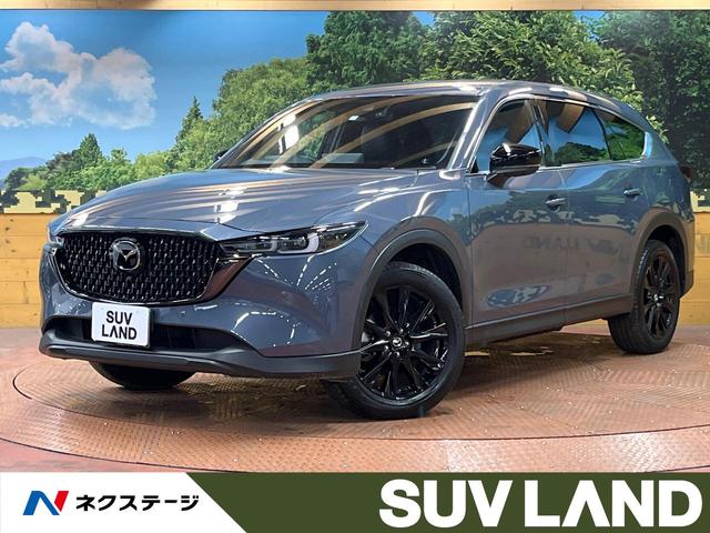 ＣＸ－８　千葉県 禁煙　１０型ナビ　全周囲カメラ　衝突軽減システム　シートヒーター　ＥＴＣ