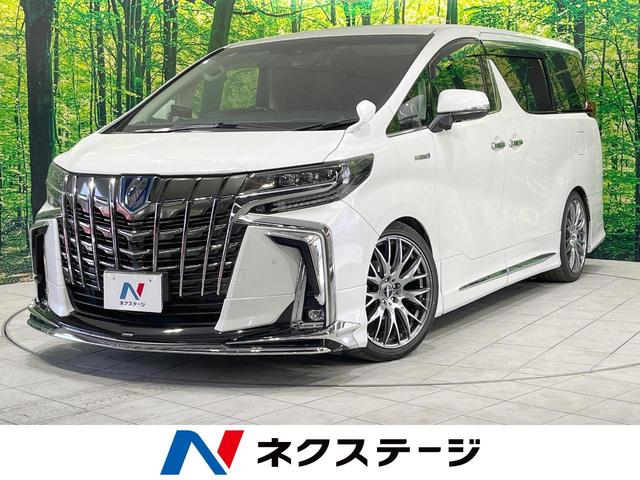 トヨタ ＳＲ　禁煙車　エアロ　ＢＩＧＸ１１型ナビ　両側電動スライドドア　衝突軽減　前席シートヒーター　パワーシート　合皮シート　左右独立オートエアコン　スマートキー　ＥＴＣ　バックカメラ　サイドカメラ