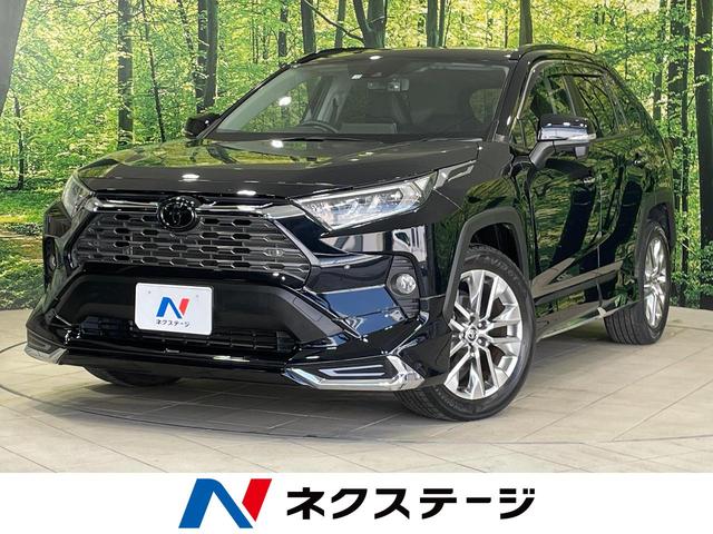 トヨタ ＲＡＶ４ Ｇ　Ｚパッケージ　モデリスタエアロ　アルパイン９型ナビ