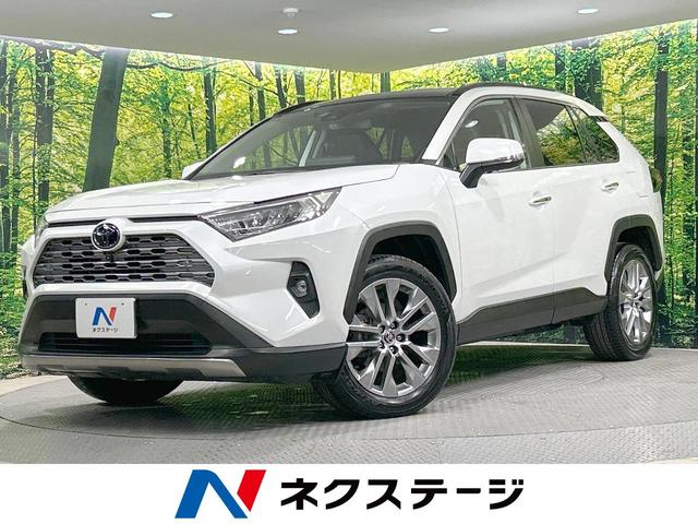 トヨタ ＲＡＶ４ Ｇ　Ｚパッケージ　大型ムーンルーフ　４ＷＤ　セーフティセンス　１０．５型ディスプレイオーディオ　寒冷地仕様　全周囲カメラ　レーダークルーズ　ステアリングヒーター　シートベンチレーション　パワーバックドア　合皮シート