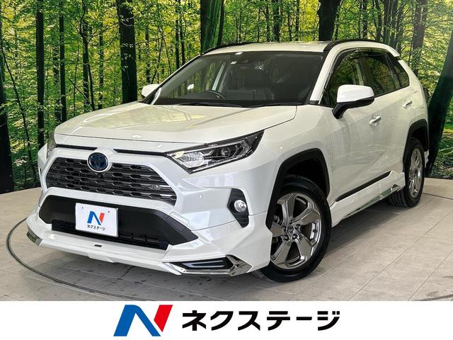 トヨタ ＲＡＶ４ ハイブリッドＧ　禁煙車　モデリスタエアロ　９インチディスプレイオーディオ　全周囲カメラ　パワーバックドア　おくだけ充電　ブラインドスポットモニター　デジダルインナーミラー　ＬＥＤヘッドランプ　ＥＴＣ