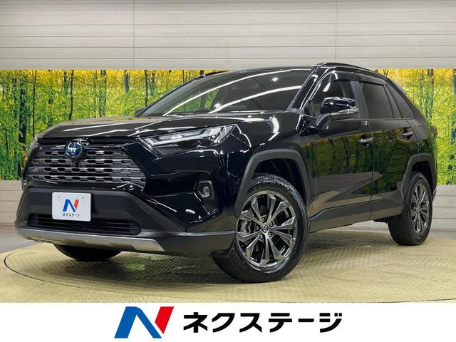 トヨタ ＲＡＶ４ ハイブリッドＧ　純正１０．５インチディスプレイオーディオ　全周囲カメラ　デジタルミラー　衝突軽減　アクセサリーコンセント　シートベンチレーション　ＬＥＤヘッドライト　ブラインドスポットモニター　パワーバックドア